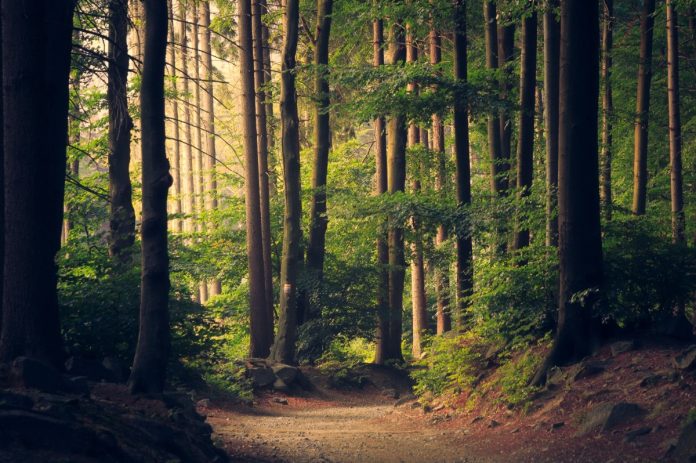 natuurmonumenten