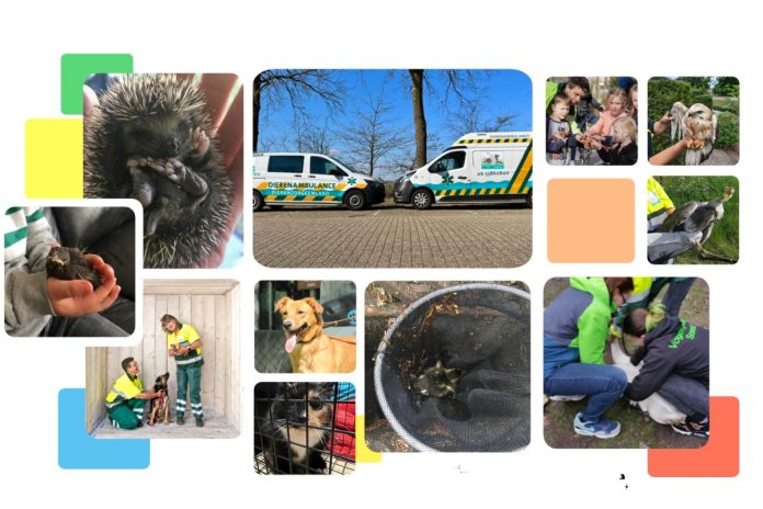 Dierenambulance Eemland
