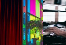 Studio Cultuur cultuur