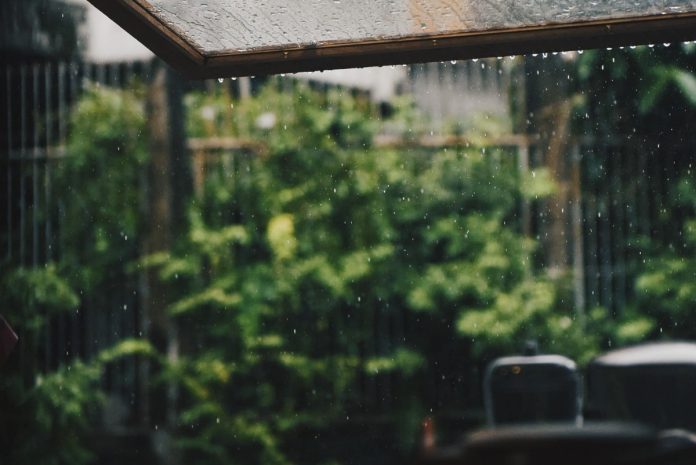 regenbui