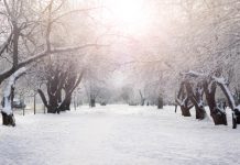Stichtse Langlauf Team staat op scherp sneeuw