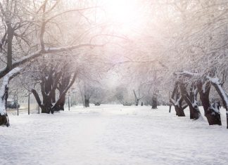 Stichtse Langlauf Team staat op scherp sneeuw