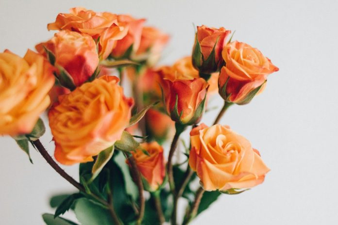 oranje bloemen