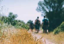 Wandel-rubriek met Harry Wees wandelen
