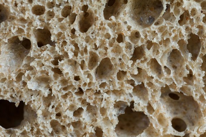 brood