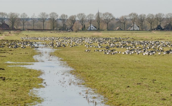 Eempolder foto IVN