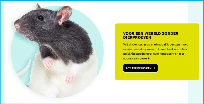 Dierenbescherming