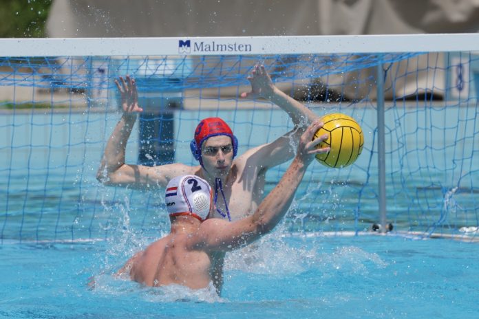 Max van der Werve