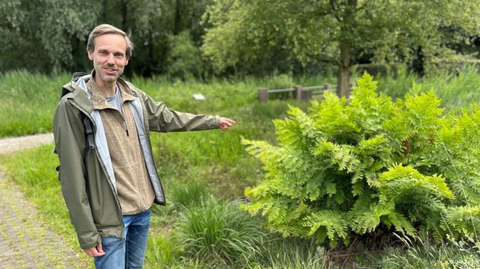 Matthijs de Raad in Park Schothorst, foto Nieuwsplein33
