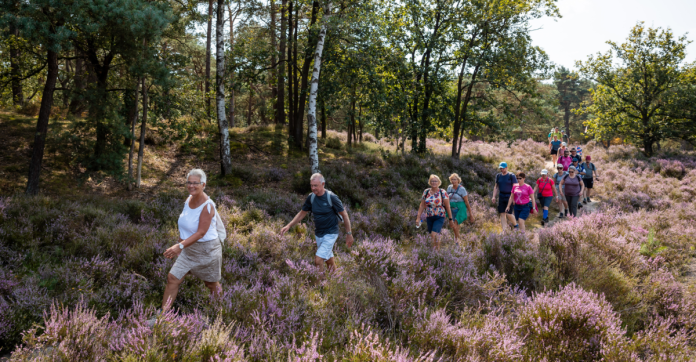 Pink Ribbon Soester Wandelweekend