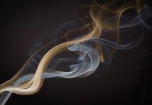 De strijd om de beste palingroker roken