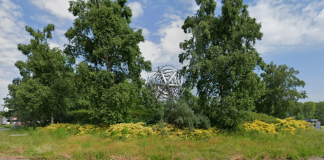 Bijzondere tekening van Escher te zien in Baarn Escher Rotonde