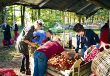 Nieuwe Herenboerderij in Hoogland-West Herenboeren Amersfoort