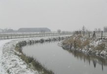 Zorgen over woningbouw Stadhouderslaan SBDE Eemvallei