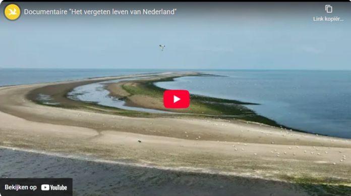 Documentaire Vergeten Leven