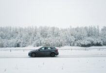 Impact strooizout op bermvegetatie auto in de sneeuw