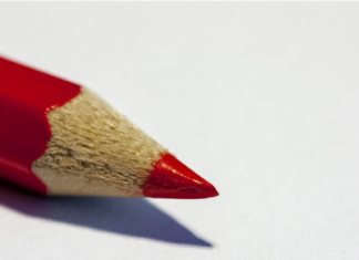 De blanco stem: een vaak genegeerd democratisch signaal rood potlood