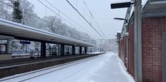 Sneeuw legt Eemland lam: reizigers en bezorgers trotseren de kou Sneeuw in Eemland