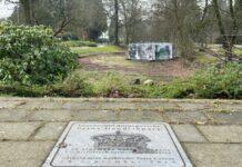 Herstel van de Wilhelminavijver in Hoog Baarn Ondanks de vorstelijke plaquette ligt de vijver er verwaarloosd bij
