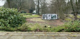 Herstel van de Wilhelminavijver in Hoog Baarn Ondanks de vorstelijke plaquette ligt de vijver er verwaarloosd bij