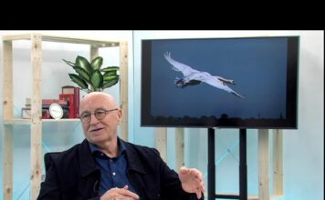 De Stembus in Soest: Lijst 1 GROENLINKS / Partij van de Arbeid (PvdA)