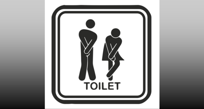 toilet