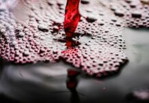 Illegaal waar onderschept in Bunschoten-Spakenburg stromende wijn