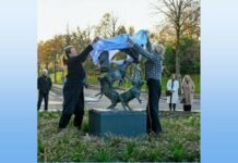 Wisselbeeld op rotonde in Soest wisselbeeld Soest