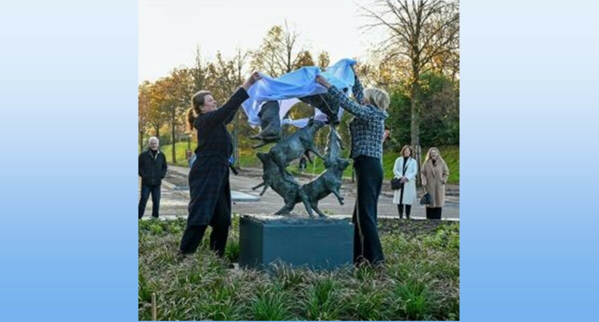 wisselbeeld Soest wisselbeeld Soest