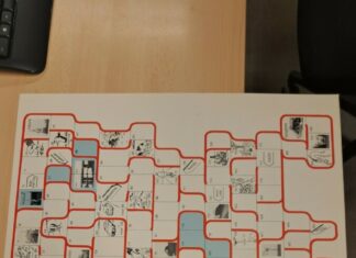 Oudheidkamer zoekt informatie over gezelschapsspel ‘Soms blijkt iets ogenschijnlijk eenvoudigs een waardevol historisch object te zijn’