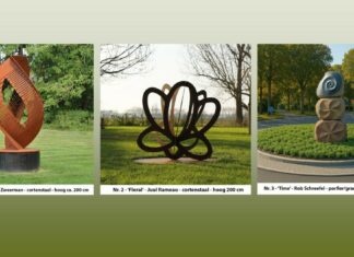 Welk beeld komt op de Pimpelmees-rotonde? Genomineerde beelden voor de Pimpelmees-rotonde