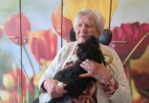 Taart met 100 kaarsjes voor Gerda Baks-van Oostende Taart met 100 kaarsjes voor Gerda Baks - Van Oostende