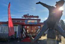 Debat over De Speeldoos trekt vooral groene kaart