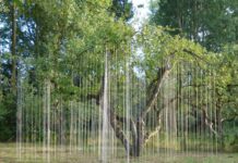 Houtsculpturen en installaties Werk van Bart Ensing