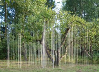 Houtsculpturen en installaties Werk van Bart Ensing