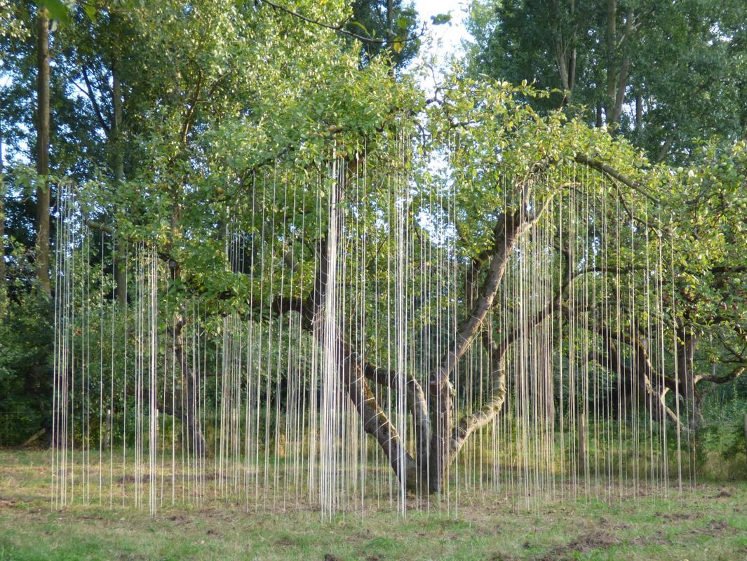 Werk van Bart Ensing Werk van Bart Ensing