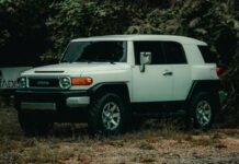 Dikkere mensen en dikkere auto’s grote auto