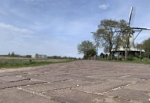 Soester Eng-lezing: transitie naar duurzame landbouw en biodiversiteitsherstel De Soester Engh met op de voorgrond de stellingkorenmolen De Windhond.