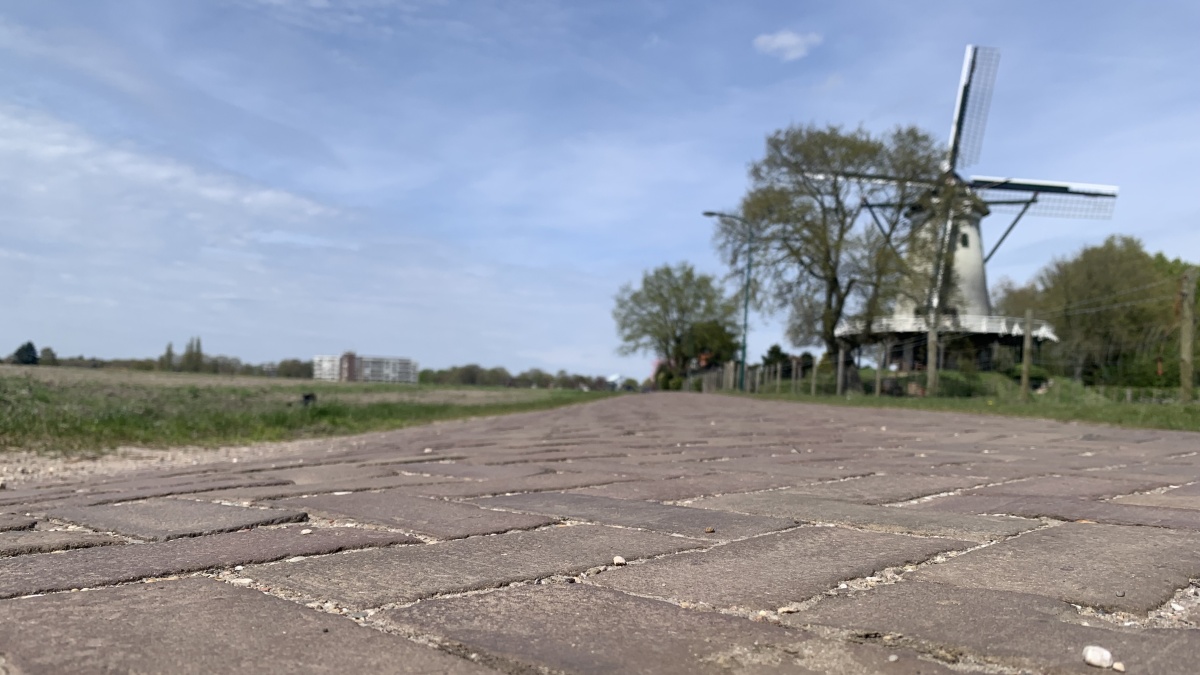 IMG_6069 Cropped De Soester Engh met op de voorgrond de stellingkorenmolen De Windhond.