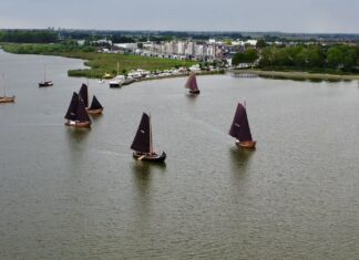 DARP-zeilcompetitie bolt de zeilen DARP-zeilwedstrijd