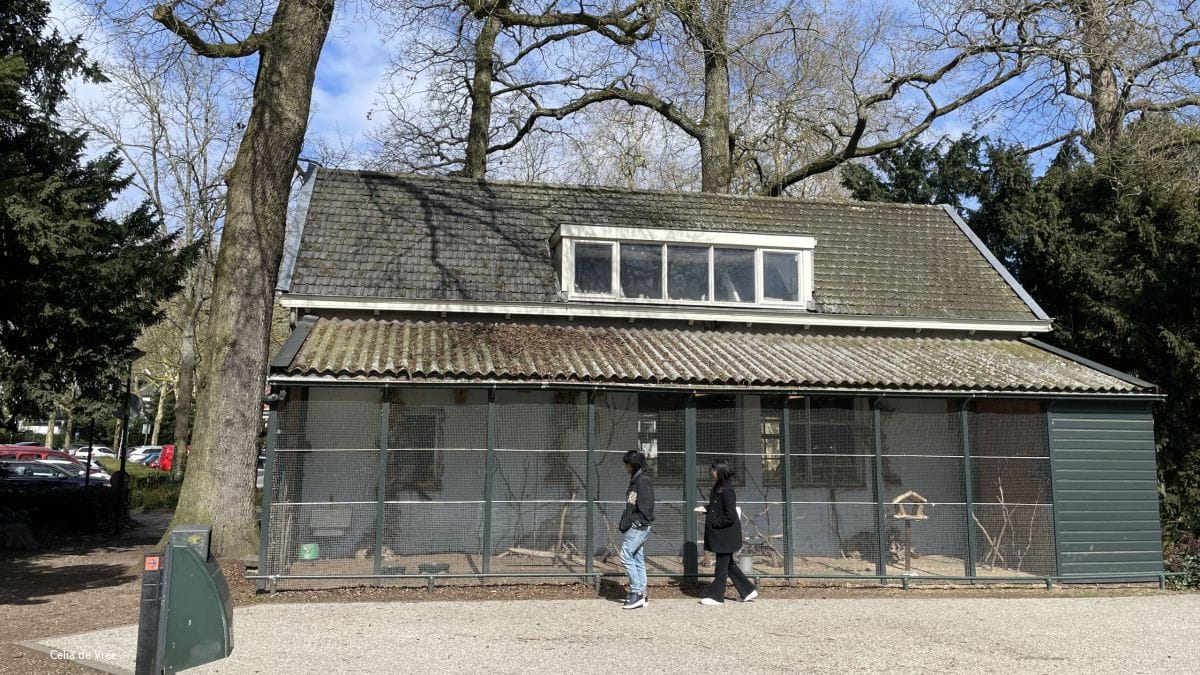 Vogelvolière Pekingtuin Baarn