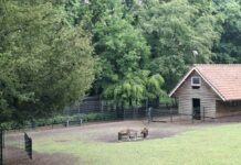 Na volière nu ook hertenkamp bedreigd in Baarn