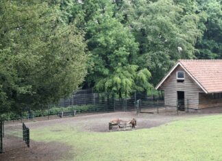 Na volière nu ook hertenkamp bedreigd in Baarn