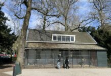 Laatste uurtjes geslagen voor volière Pekingtuin