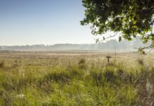 Nationaal Park Utrechtse Heuvelrug officieel uitgebreid: Amersfoort, Soest en Baarn horen er nu bij