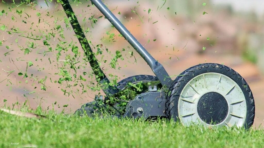 'Laat het gras langer staan'