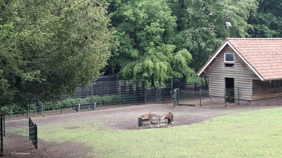 Hertenkamp Baarn