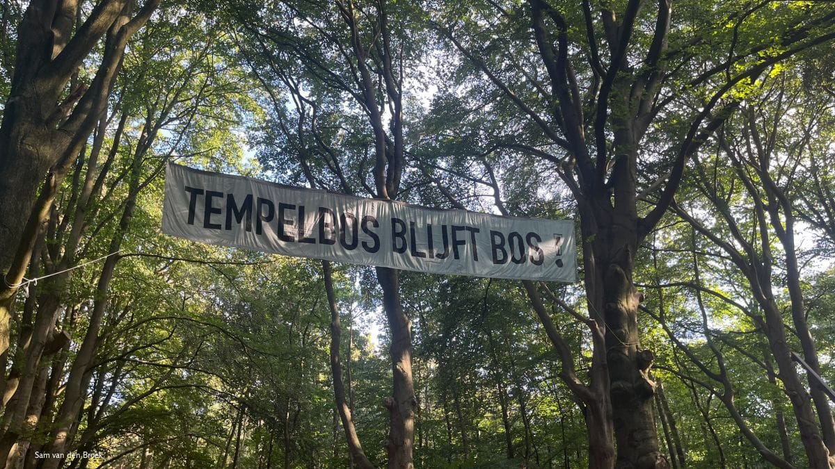 Rechtszaak over dassenrasters zet conflict rond Oude Tempel verder op scherp Rechtszaak over dassenrasters zet conflict rond Oude Tempel verder op scherp