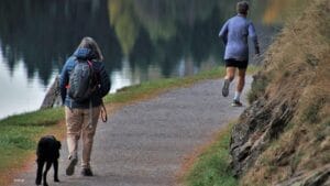 Natuurwandeling geeft het brein rust en vermindert stress