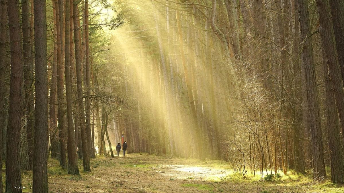 Walk Into The Light vraagt aandacht voor suïcidepreventie Walk Into The Light vraagt aandacht voor suïcidepreventie